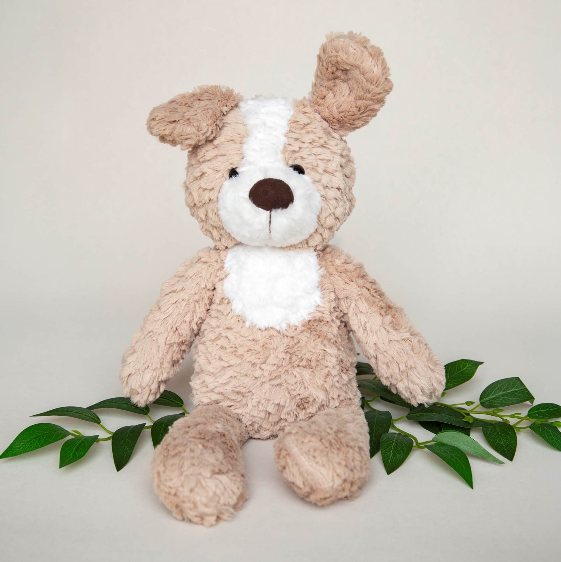 Myk hundebamse som sitter.